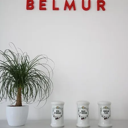 Hotel Belmur 4*