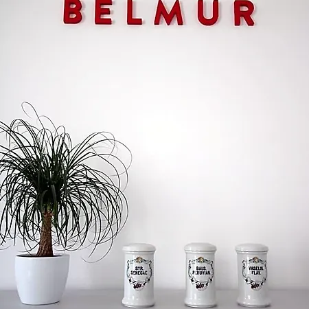Belmur Hotel 4*